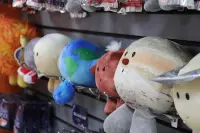 Celestial Buddies