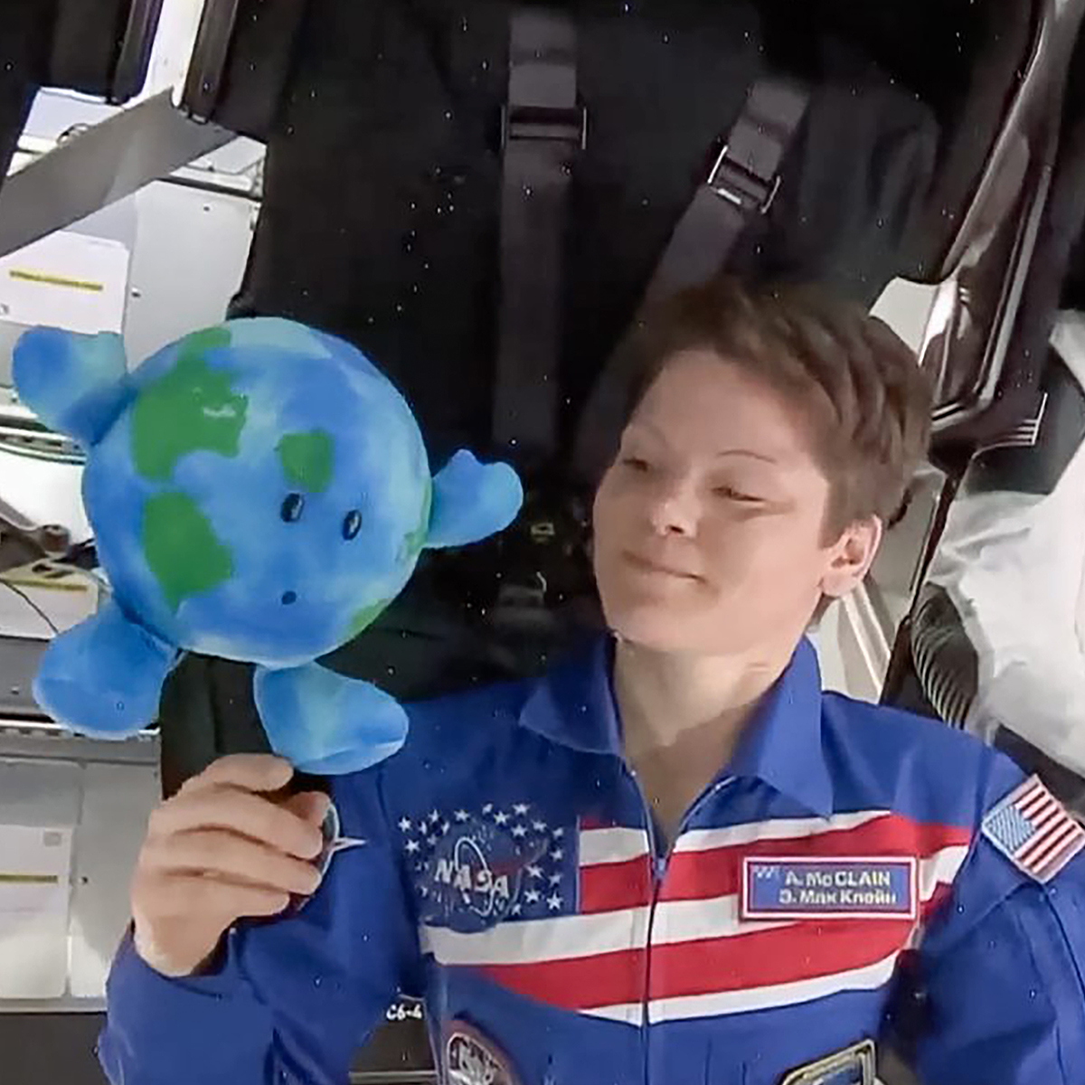 Earth Buddy The Candy Space