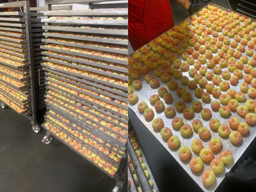 the freeze drying candy process